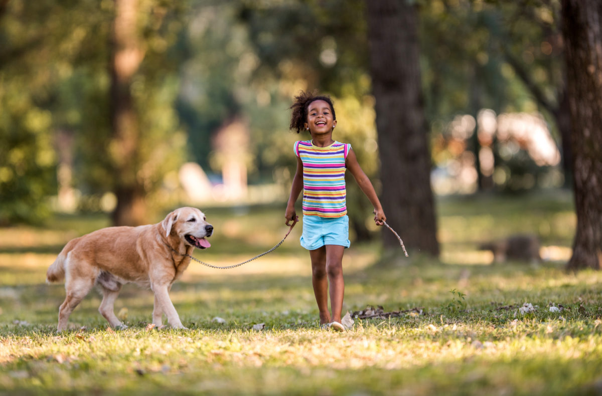Walk with Your Dog: It's Good For Your Mental Health - Discovery Mood &  Anxiety Program